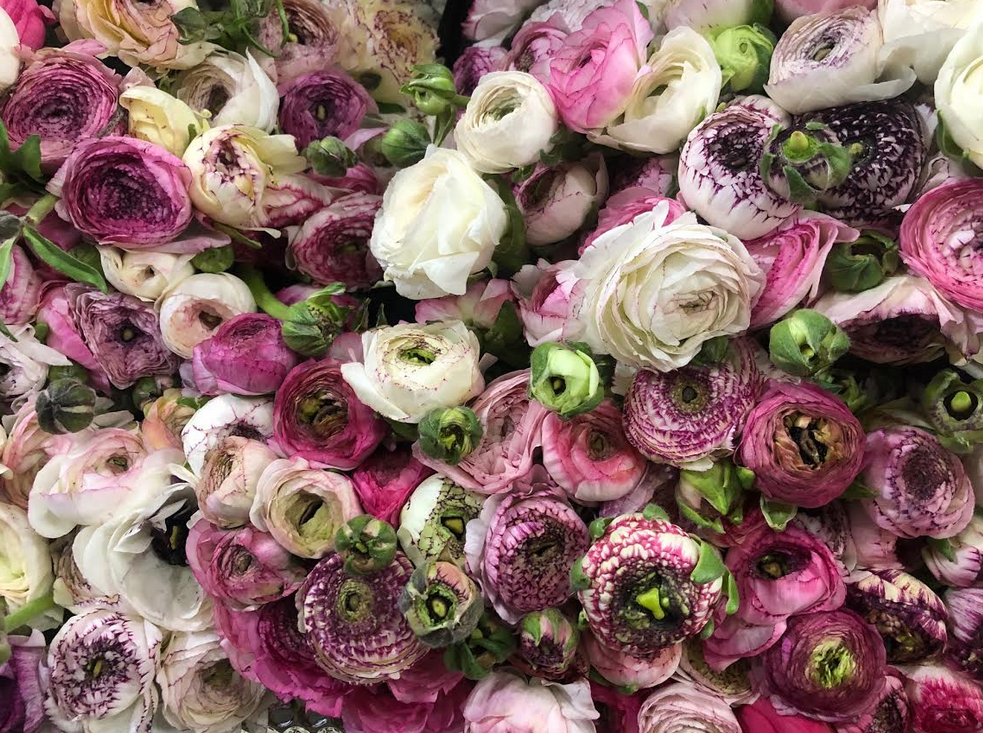 Celebrating flowers and the NY Flower district!