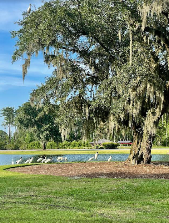 Bluff Diaries chapter 56…….finally!