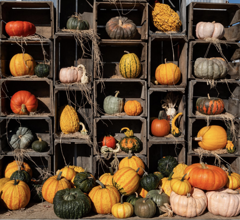 Now taking your entries for our Fall Love contest and a little rant….