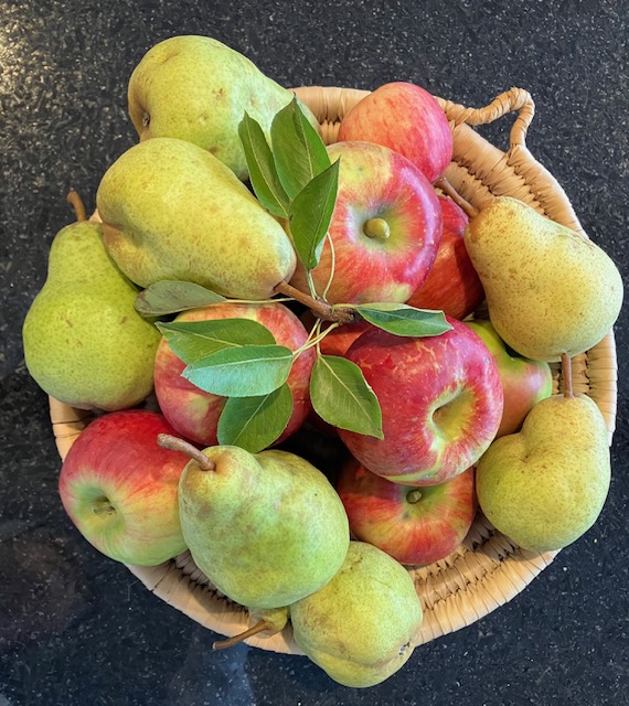 Our Fall Love Contest is on!